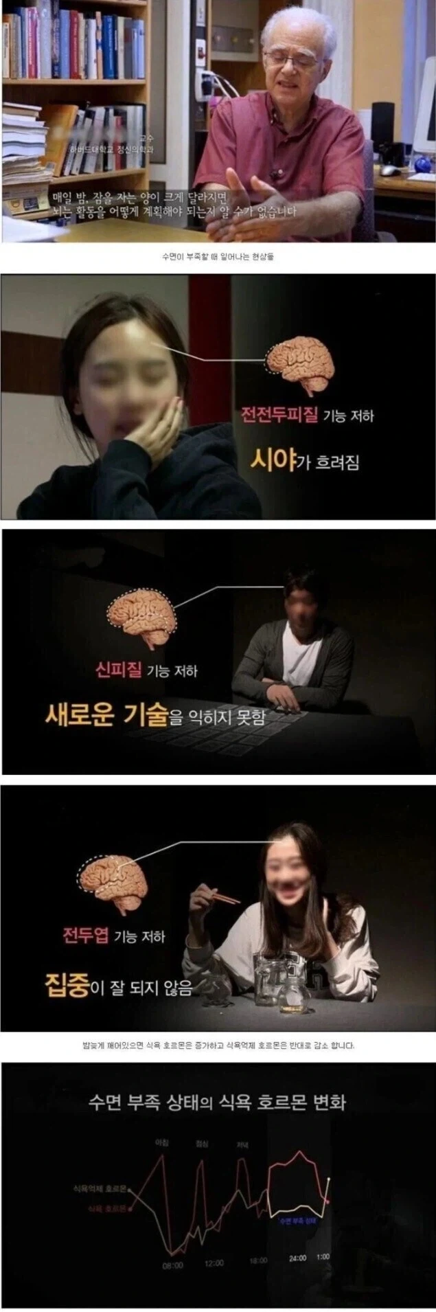 노랭이 3형제... 대표 이미지