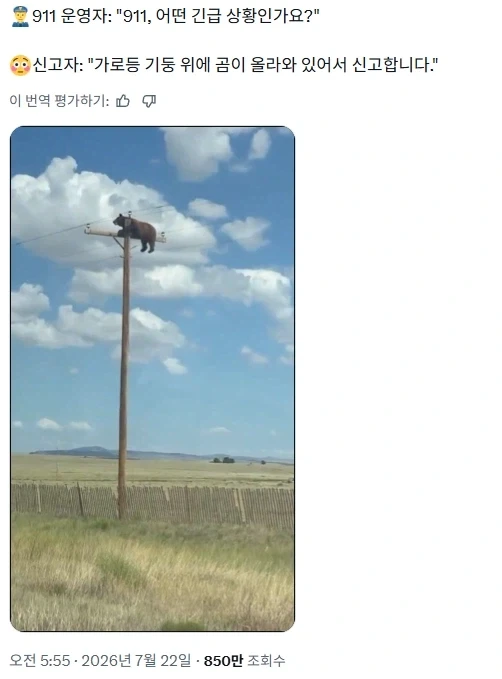 푸른 창끝 밈의 유래.jpg 대표 이미지