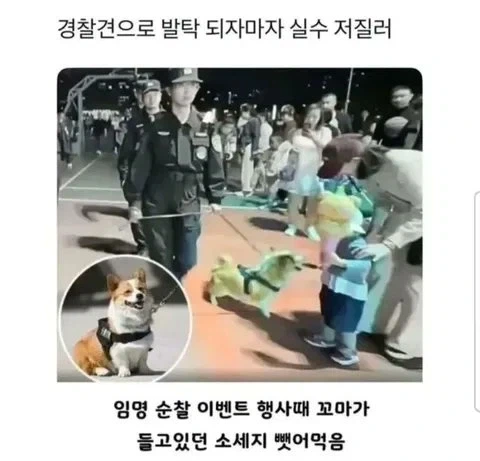 꿇어라 개미야 대표 이미지