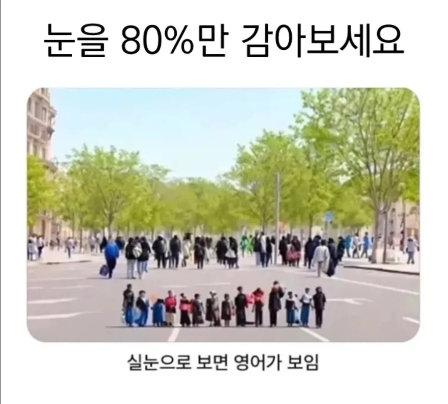거진 4년동안 성도지방을 건축중인 건축가 대표 이미지