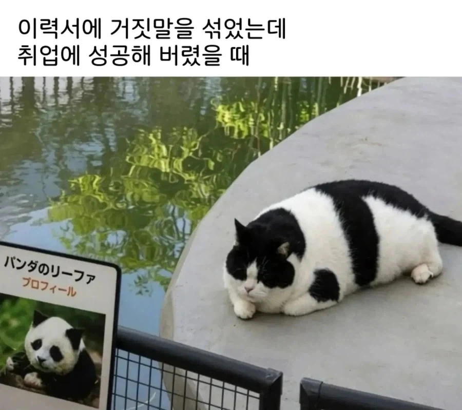 검은 사제들 몇번을 봐도 이상한 장면 대표 이미지
