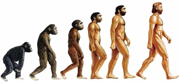 AI) 카고메의 교복을 입고 즐거워하는 TS 이누야샤 대표 이미지