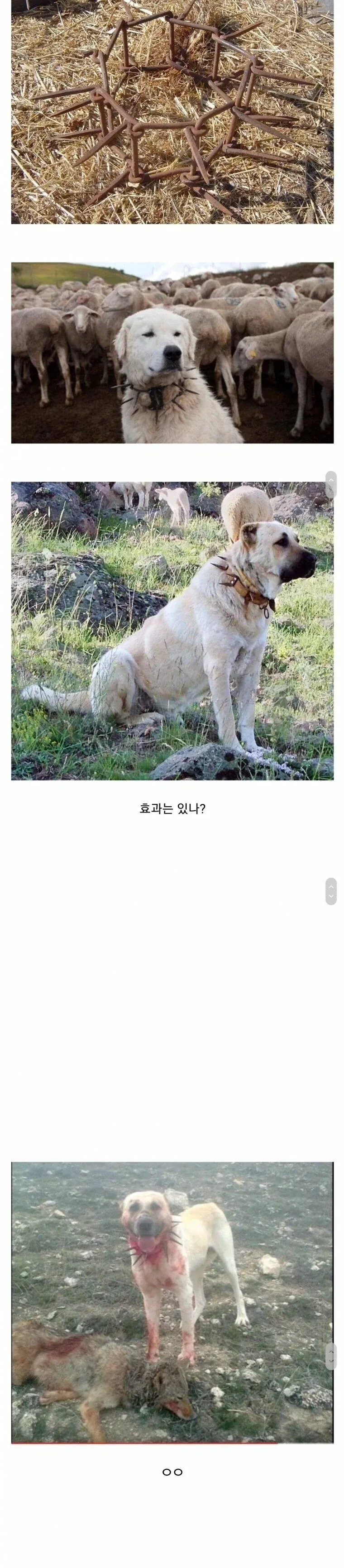 여권 만들러 왔다가 본 안내문.jpg 이미지 3