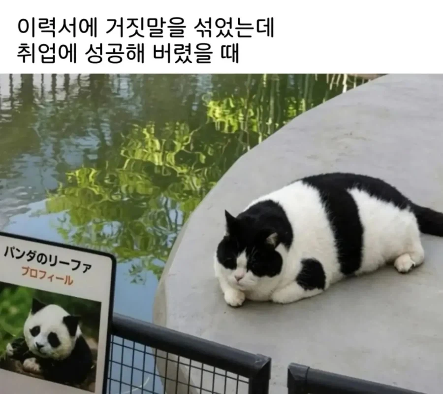 젠존제 앨리스 보고 떠올린 캐릭터 대표 이미지