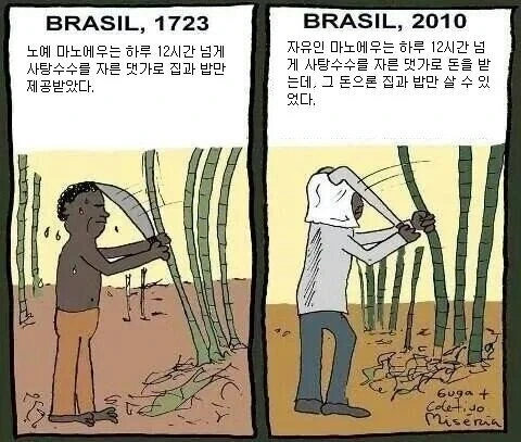 칭화대 입학 난이도가 개ㄸㄹㅇ라고 불리는 이유 이미지 2