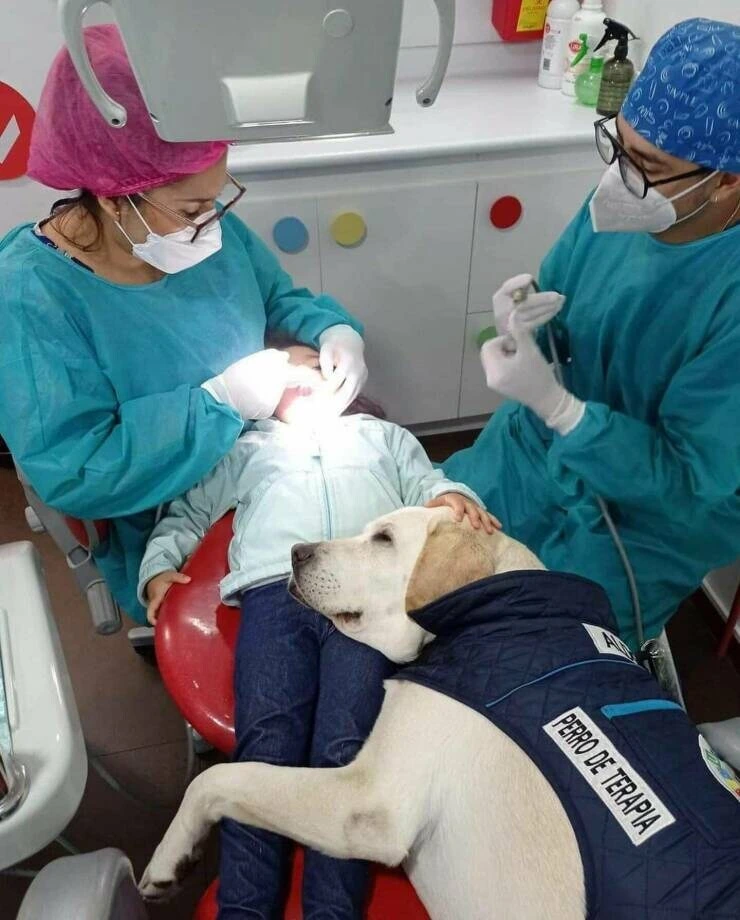 도로 한복판에서 출산한....JPG 대표 이미지