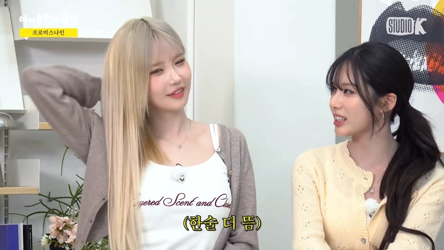 데뷔 9년차 아이돌의 맏언니 대우법.jpg_17.webp