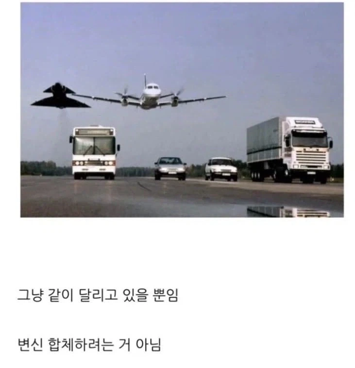 나도 집에 이런 인형 있으면 조캐따 이미지 3