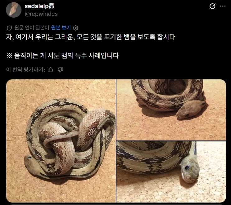 법륜스님 팩폭.jpe 대표 이미지
