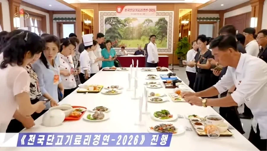 와! 저기 정글의 왕과 대표 이미지