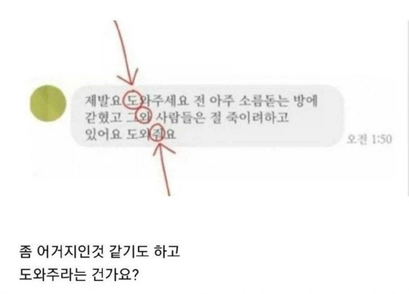 세계 랭킹 1위도 못 뚫었던 한국 유도계 학연의 벽 대표 이미지