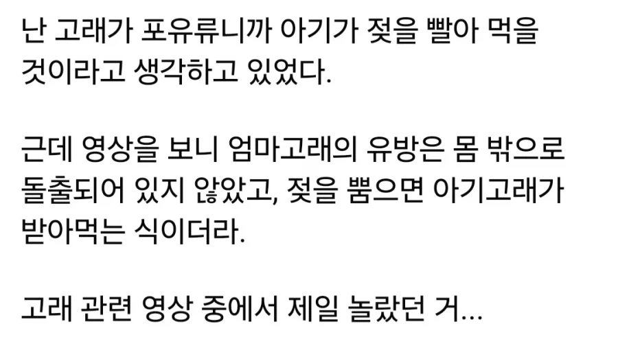 케로로)전투력 측정기로 쓰기 좋은 캐릭터 대표 이미지