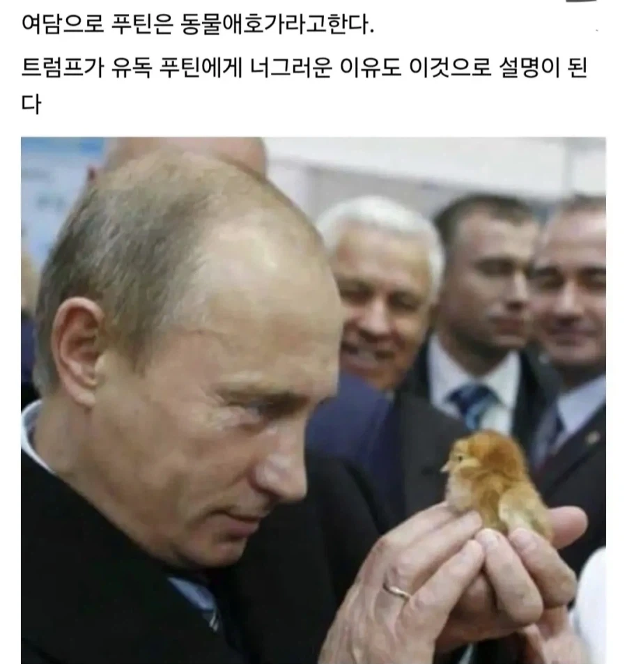 트럼프는 사실 앵무새임_10.webp
