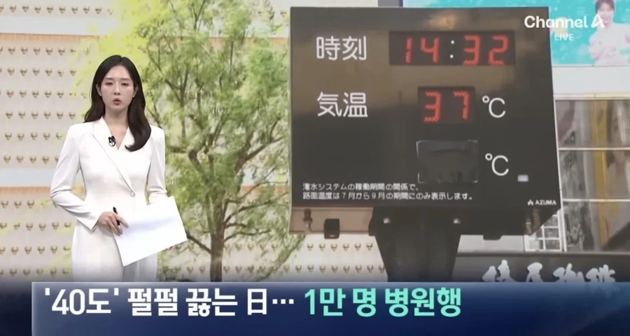 트릭컬) 정력(정령폭력) 대표 이미지