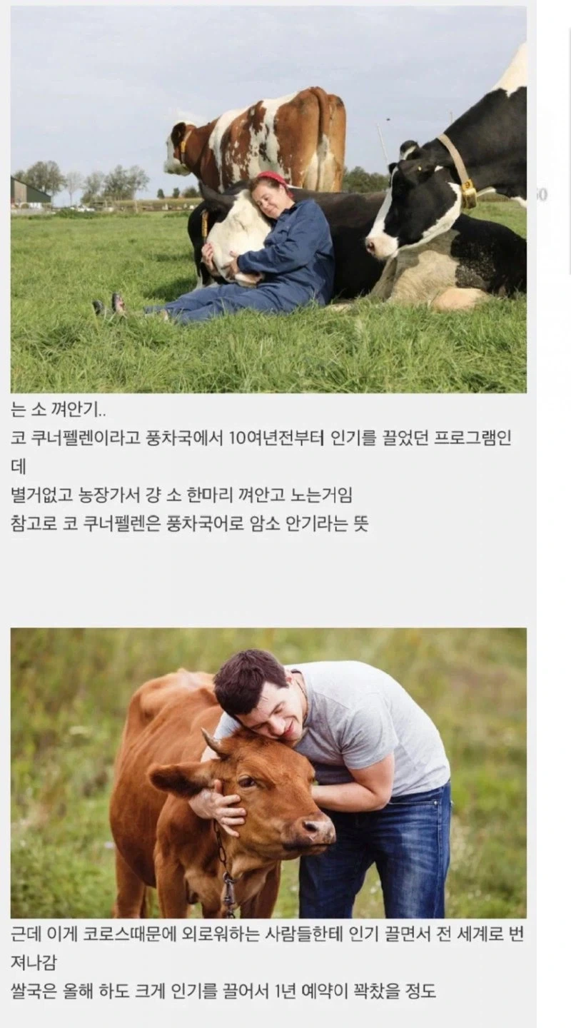 광주광산경찰서를 보니 동탄경찰서가 생각남 대표 이미지