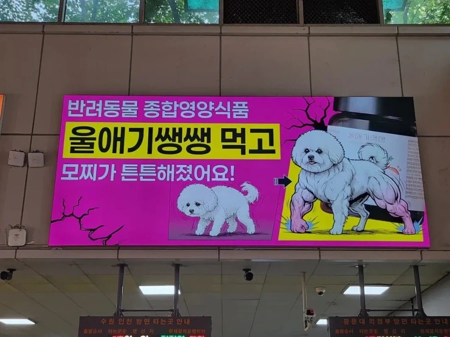 햄버거 프랜차이즈 수익이 늘고있는 이유.jpg 이미지 2