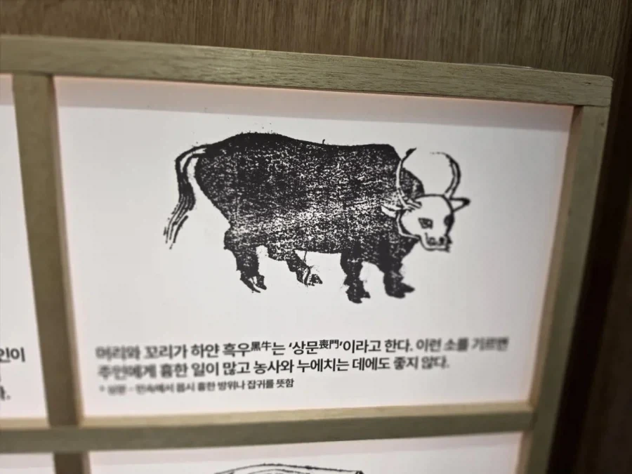 원피스로 되팔이들 엿먹였다는 소년점프 대표 이미지