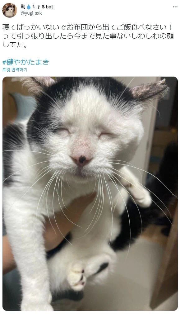 키가 작아서 슬픈 남자들 대표 이미지