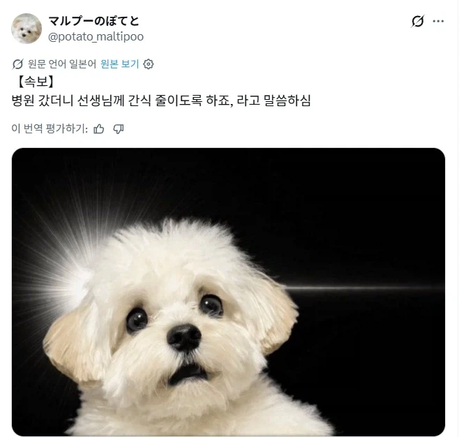 한국에서 일하는 아빠 만나러 한국에 온 미얀마 남매 대표 이미지
