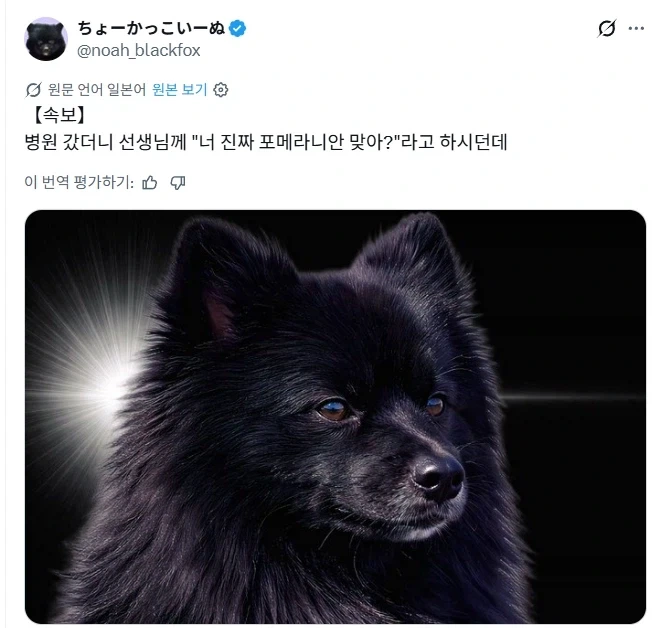 동물병원에서 수의사에게 들은 말.jpg_2.webp
