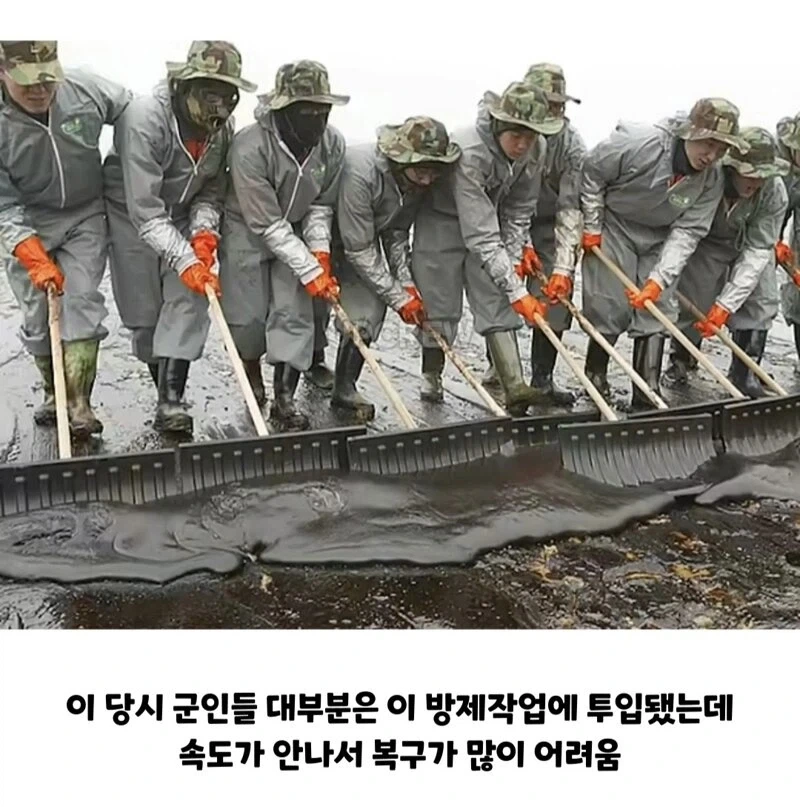 ??? : 한국인들아 느그 그거 복구 20년 걸린다_8.webp