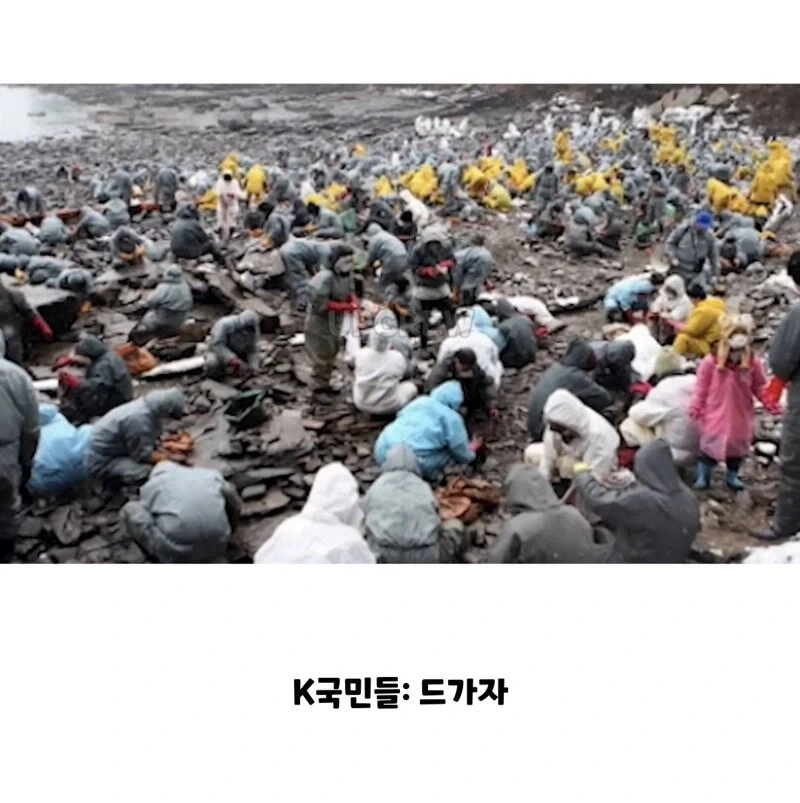 ??? : 한국인들아 느그 그거 복구 20년 걸린다_10.webp