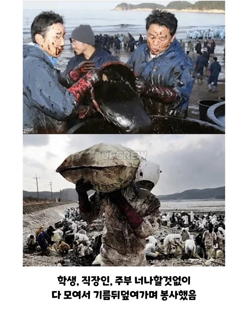 ??? : 한국인들아 느그 그거 복구 20년 걸린다_12.webp