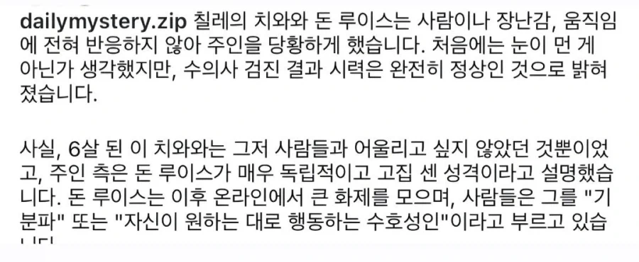 실명인줄 알았던 강아지의 진실_2.webp