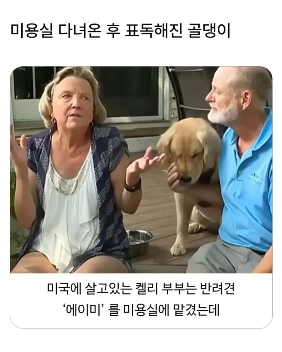 한국 : 뭐? 배를 생으로만 먹는다고? 굳이? 왜? 이미지 3