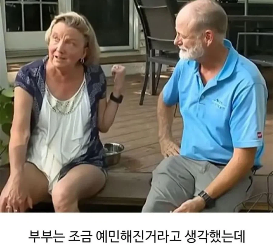 미용실 다녀온 후 표독해진 골댕이_4.webp