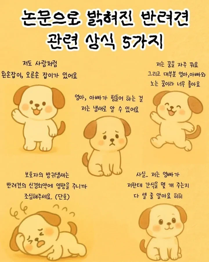 남자인 줄 알았던 애가 사실 여자였다 클리셰.jpg 이미지 3