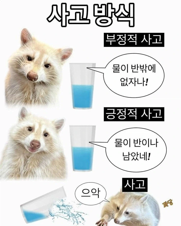 의외로 사람들이 모르는 세종의 업적 대표 이미지
