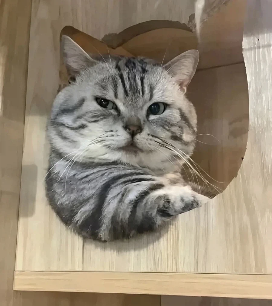 ???: 남편을 나약하게 그려서 성적으로 소비하고 있다 이미지 3