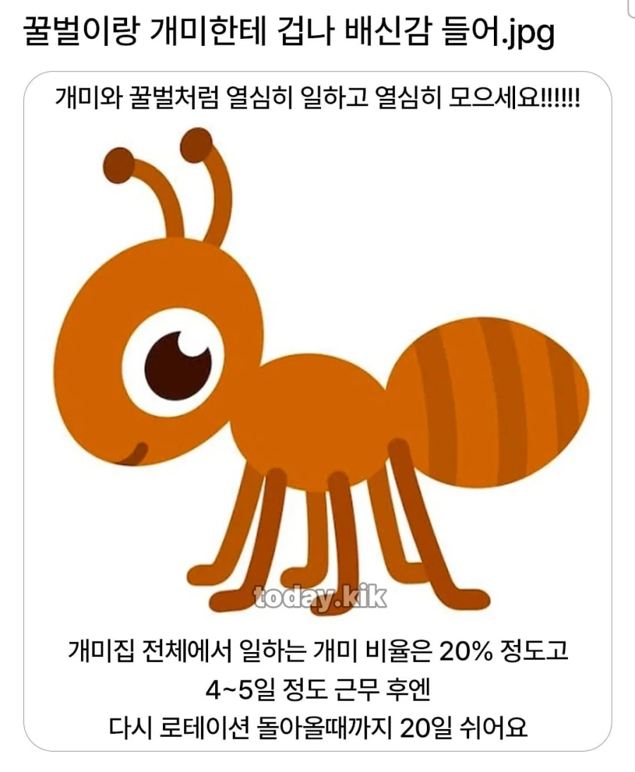 한국 왜이리 은행나무 많은거야 이미지 2