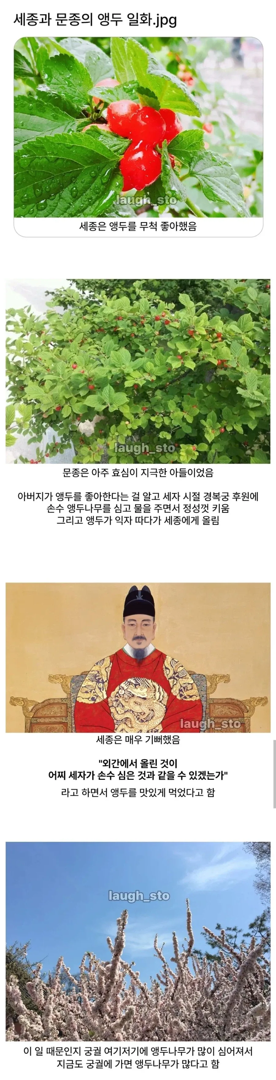 과학자가 긴 연구를 통해 이루어낸 꿈.JPG 대표 이미지