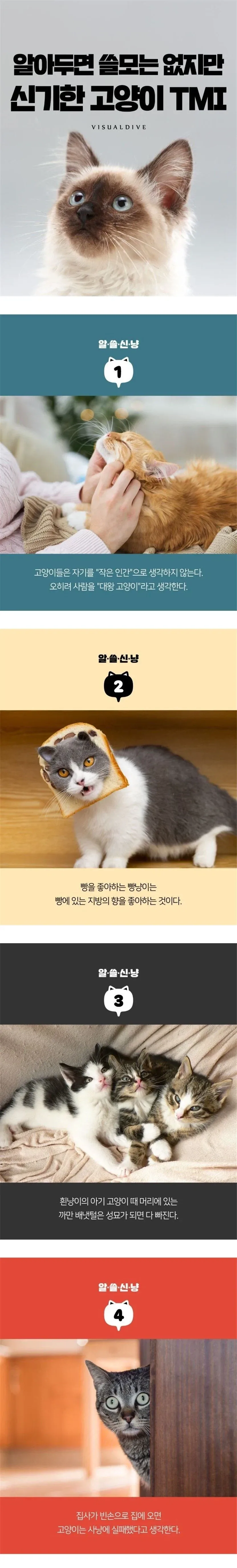 의외로 공식 설정상 PC 성향이 약한 게임 대표 이미지