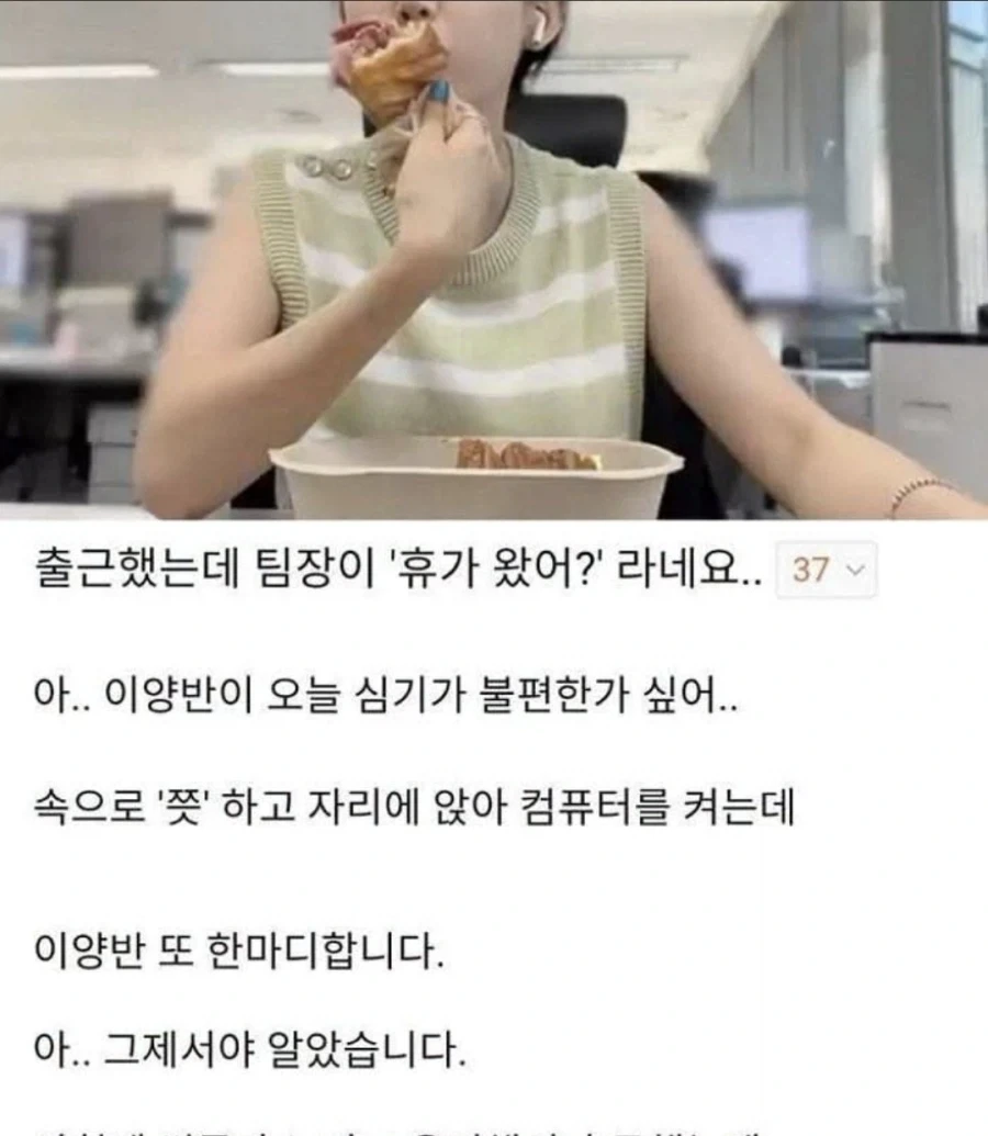 미래를 계획 하는 동물 이미지 3