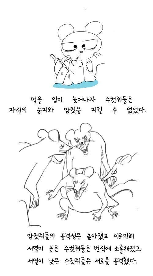 manga_1028916_004.webp