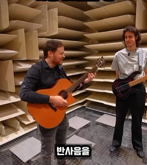 반사음을 모두 죽인다는 방_4.webp