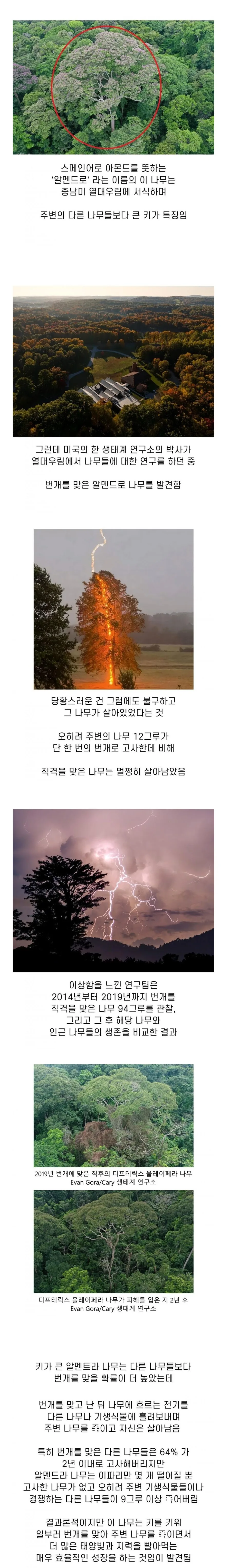 닥치시오 우서! 이미지 4