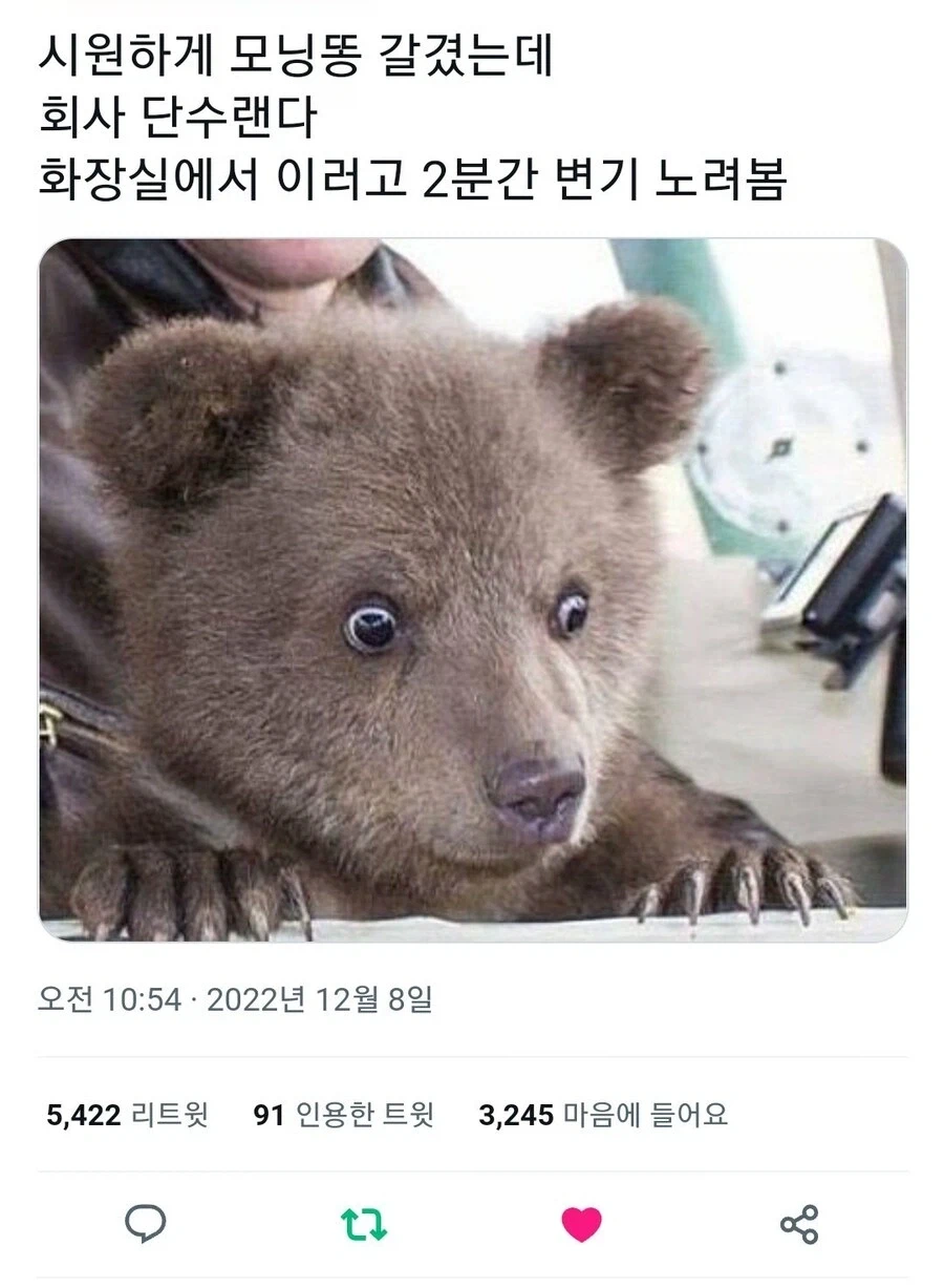 복불복 와사비 초밥 테러한 가게와 그 후기.jpg 대표 이미지