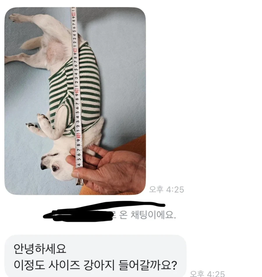 미국에서 911 신고 시스템 보급 초창기에 자주 있었던 사례 이미지 2