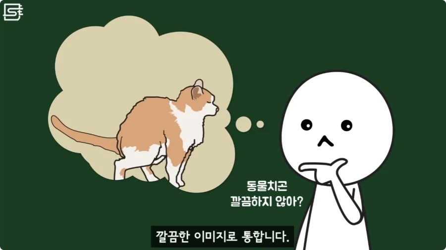 길고양이를 만지면 안되는 이유.jpg_5.webp