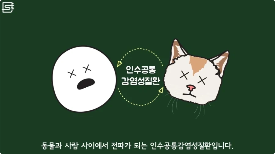 길고양이를 만지면 안되는 이유.jpg_17.webp