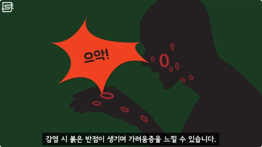 길고양이를 만지면 안되는 이유.jpg_19.webp