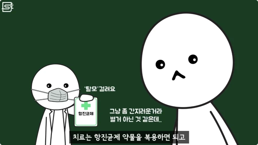 길고양이를 만지면 안되는 이유.jpg_22.webp
