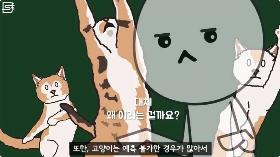 길고양이를 만지면 안되는 이유.jpg_25.webp