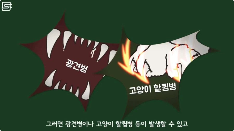 길고양이를 만지면 안되는 이유.jpg_28.webp