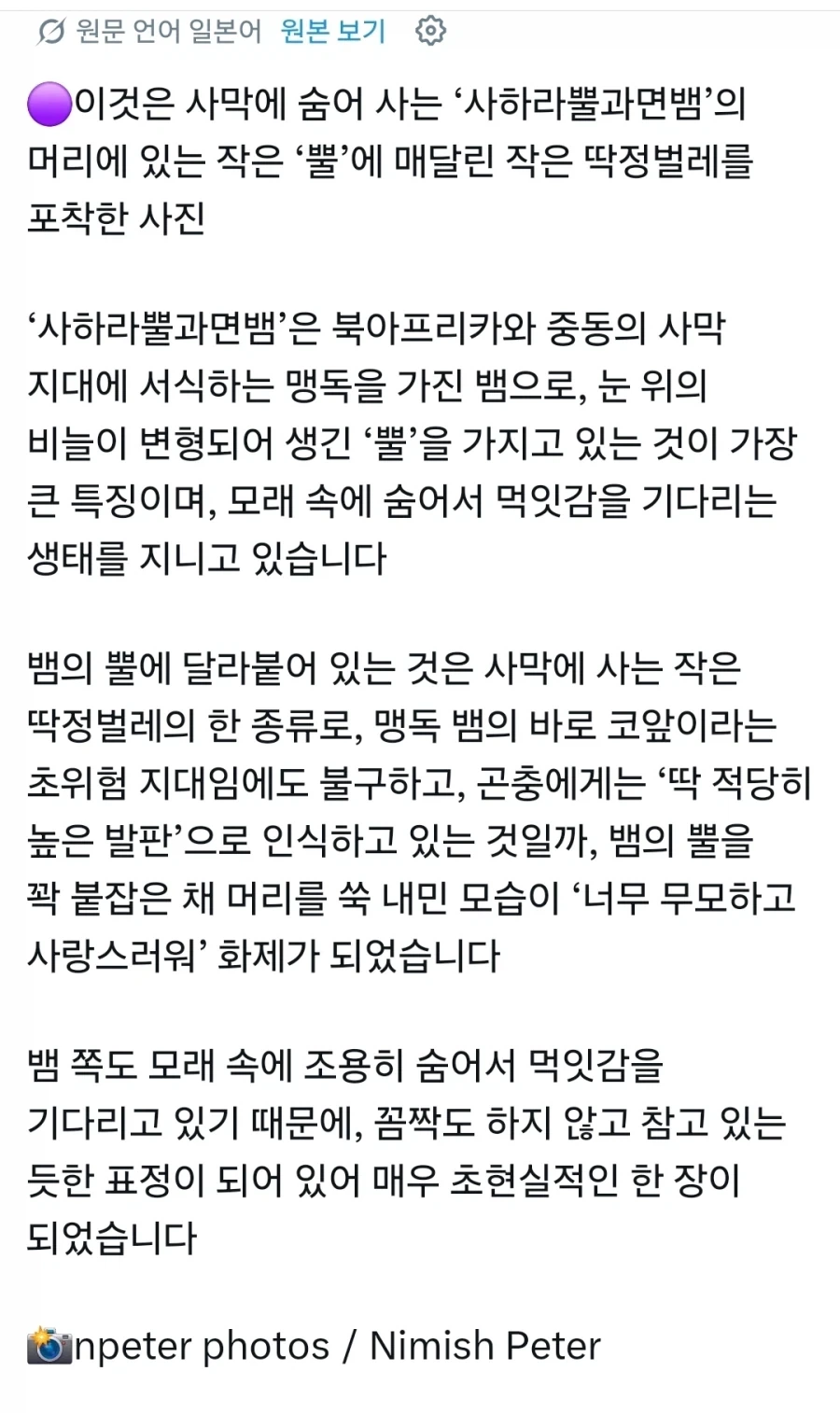 조용히 먹잇감을 노리는 뱀..._3.webp