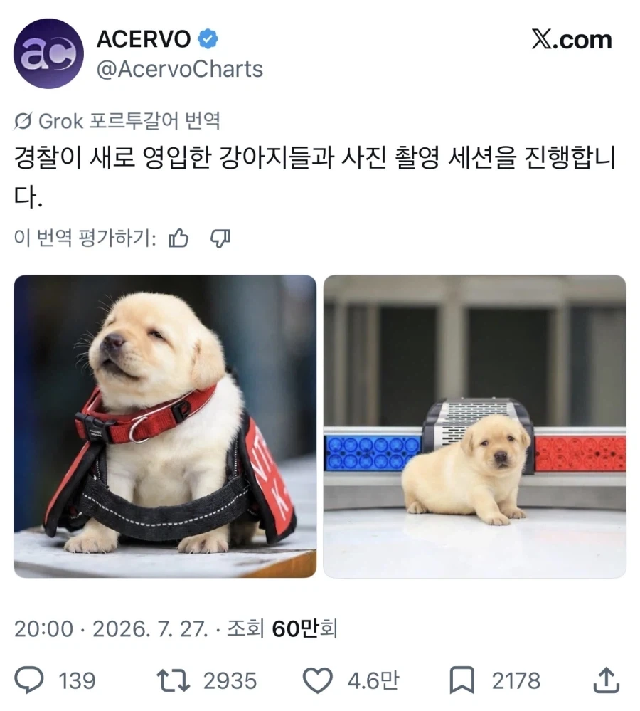보드게임 주사위 사려다 갑자기 불편해진 이유 대표 이미지